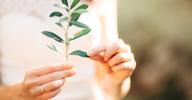 Curiosity, Attunement, and Better Sex: Why Couples Counselling Isn’t About Mind‑Reading