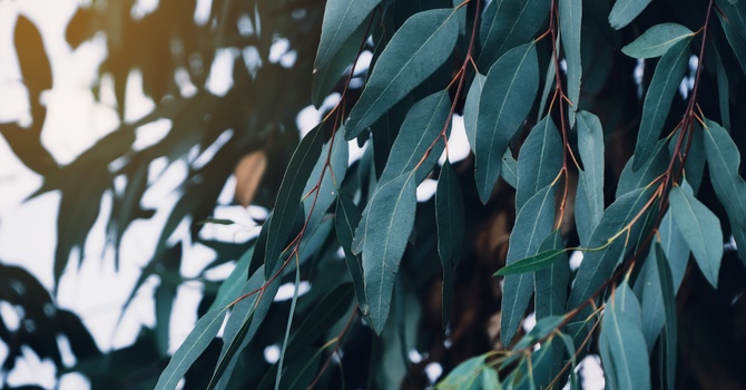 The Sunday Scaries image