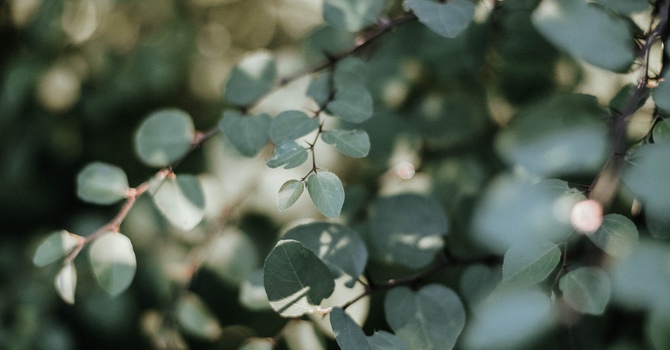 Can EMDR Therapy Help With Depression? 