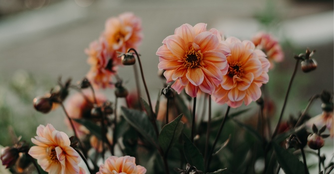 Can EMDR Therapy Help With Depression? 