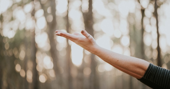 Your Nervous System Is Not Broken image